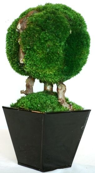 Topiary Moss Ball Single 13" - Click Image to Close